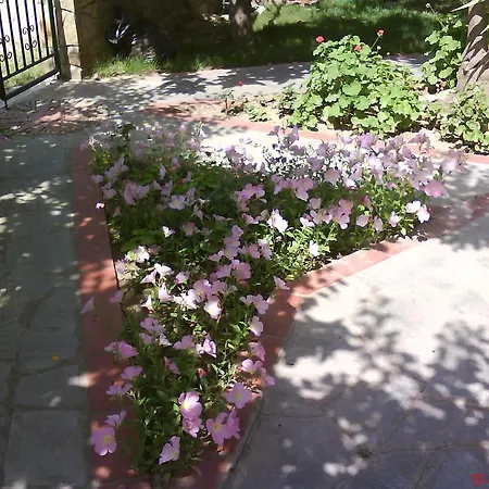 Natalia'S Apartments Nikiti  Exterior photo